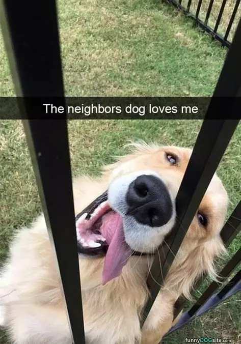 Loves Me