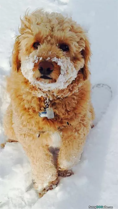 In The Snow