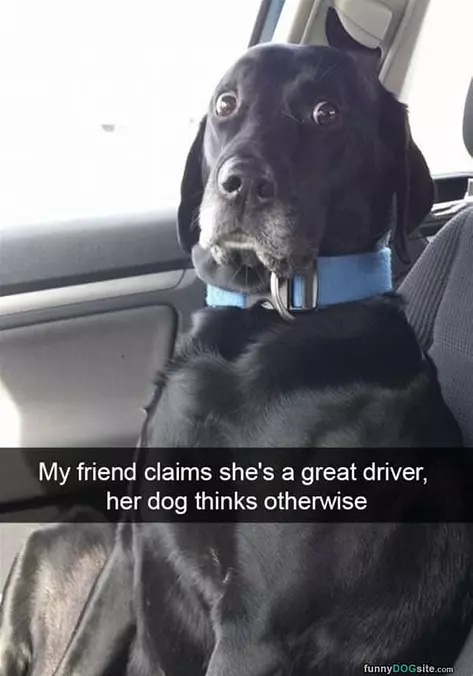 Not A Great Driver