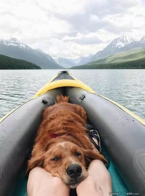 Relaxed On Our Trip