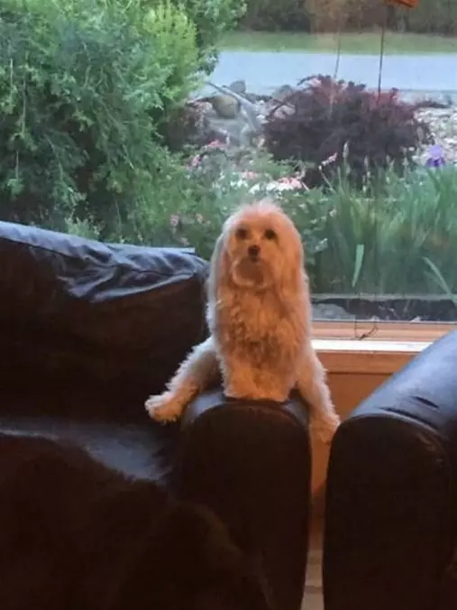 I Sit On The Couch How I Want