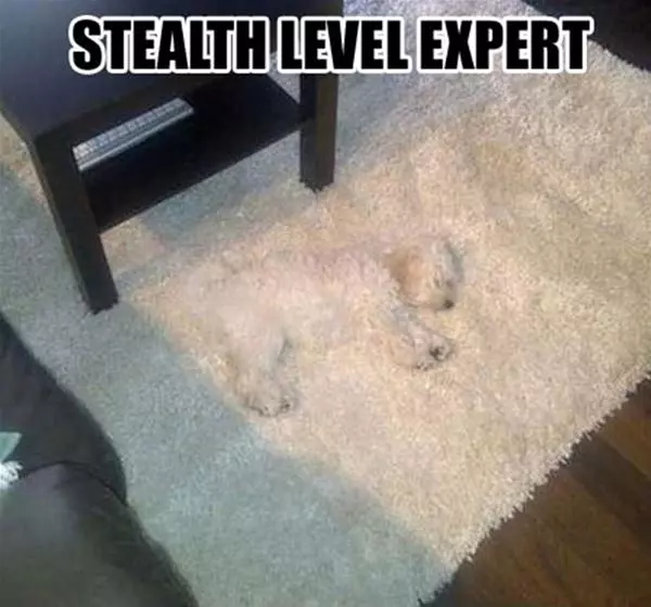 Stealth Level