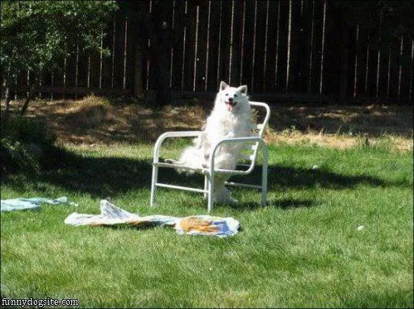 Just Hanging Out Here