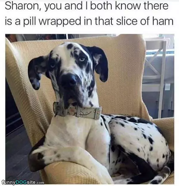 Not Fooling Anyone