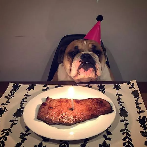 What An Amazing Birthday