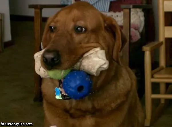 3 Balls Fetcher