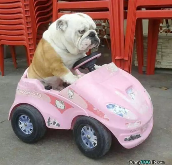 Going For A Ride