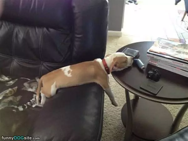 Sleeping Here