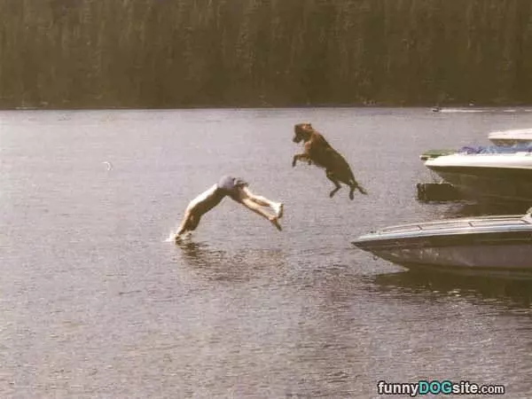 Lets Jump For It