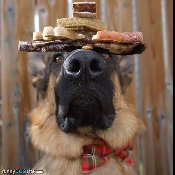 Stack Them Up High