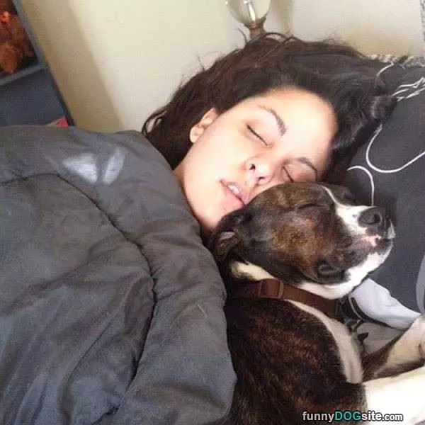 How We Nap