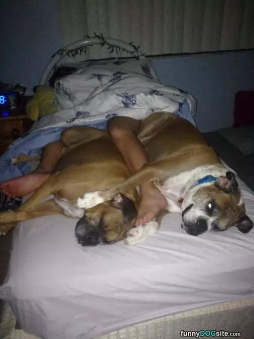 How To Share A Bed