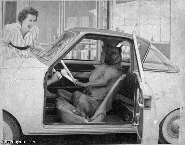 Test Drive