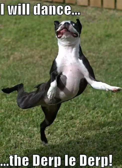 I Will Dance