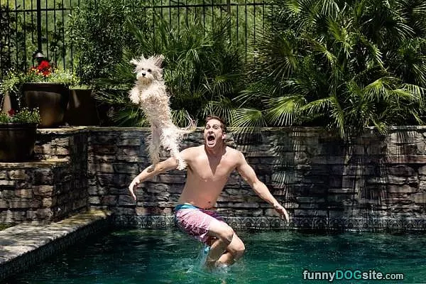 Flying Dog