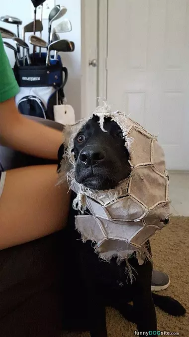 I Got The Ball