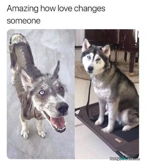 Amazing How A Little Love