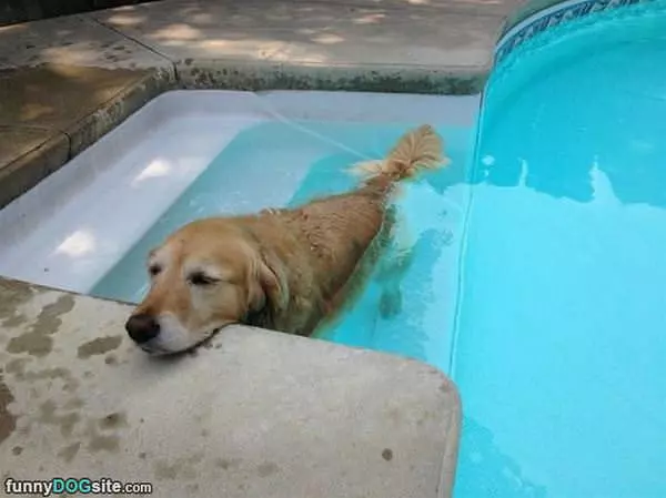 Chillin In Da Pool