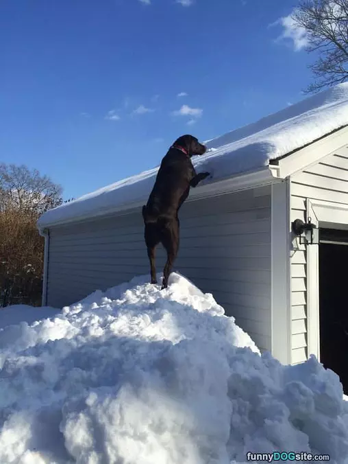 Going To The Roof