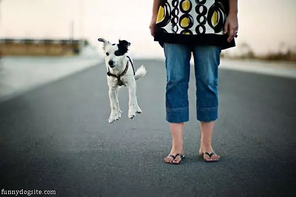 Jump Jump