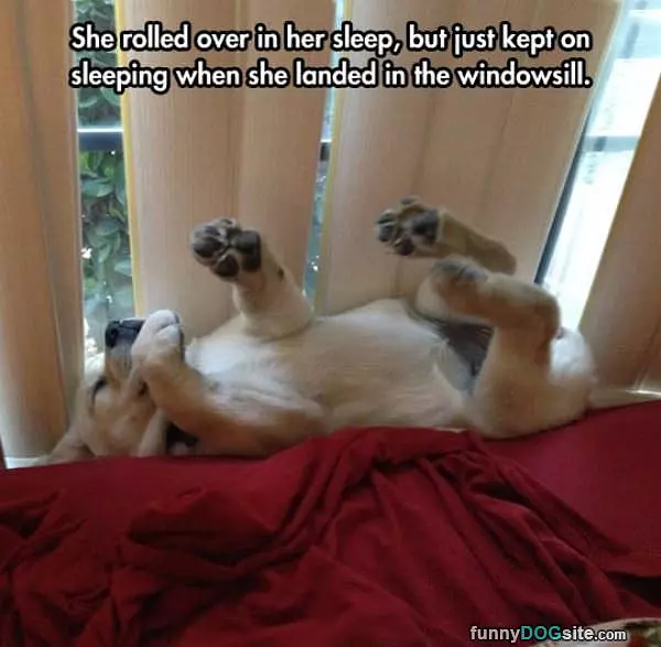 Just Keep Sleeping