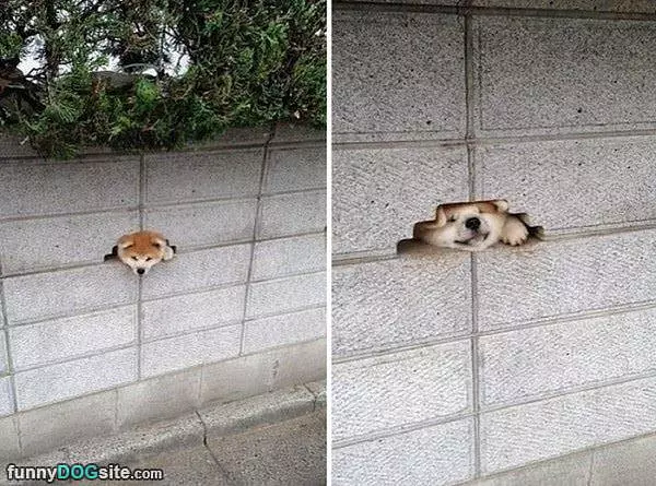 Out The Wall