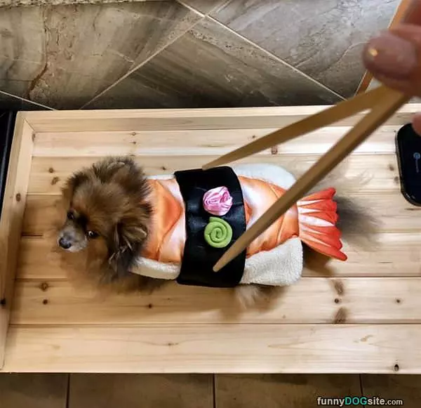 I Am Sushi Now