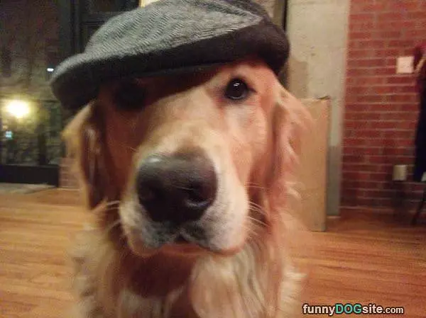 My Fancy Hat