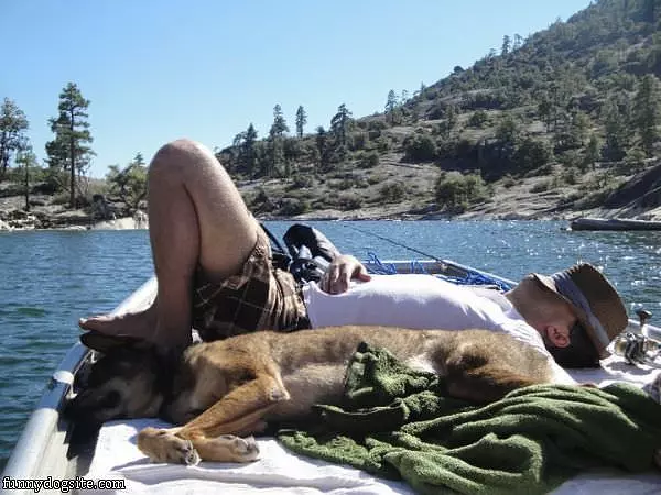 Mans Best Friend