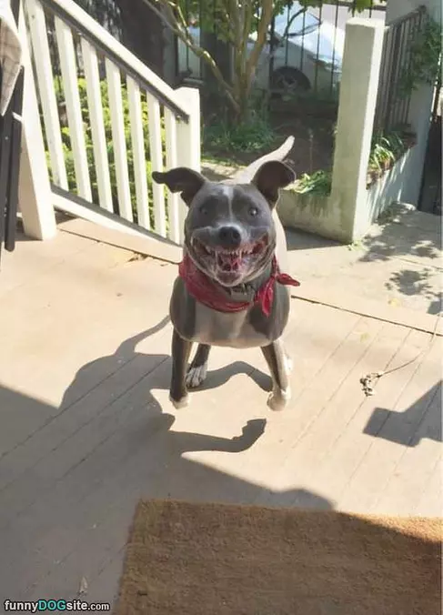 So Excited You Are Home