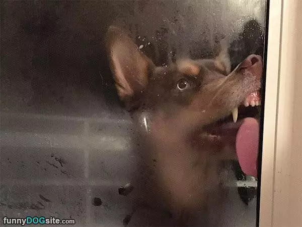 Lickkkk