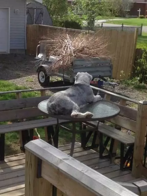My Favorite Spot