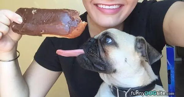 I Want To Eat This