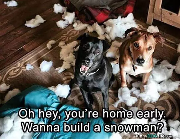 Build A Snowman