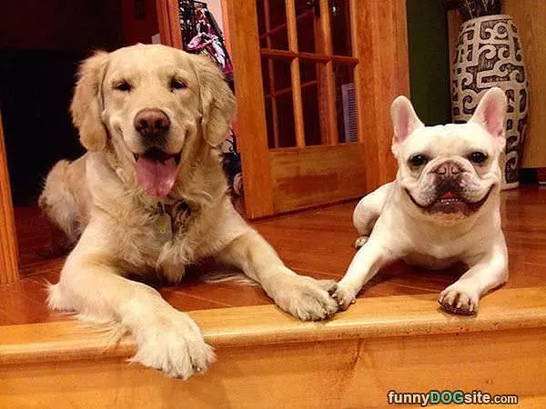 Holding Hands