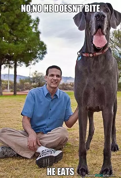 Does Not Bite