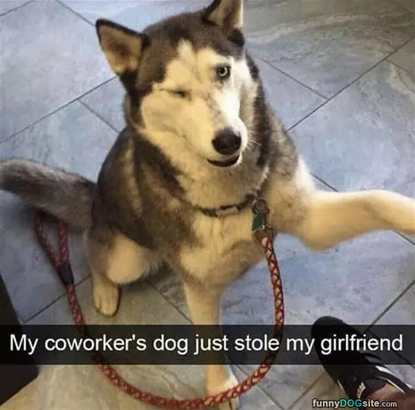 Just Stole My Girlfriend
