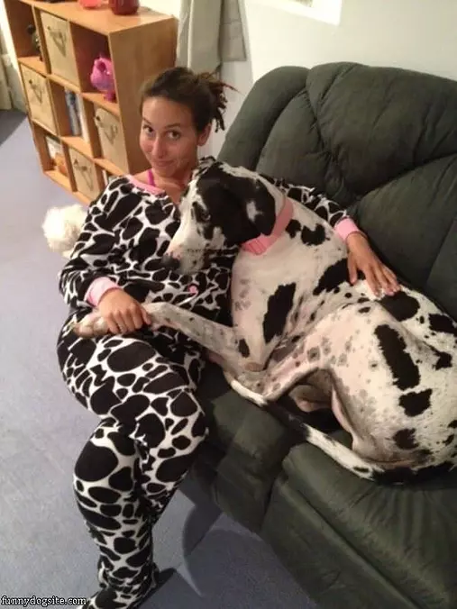 Dottie And Taylor Twins