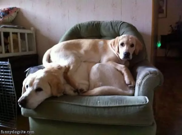 We Are So Comfortable
