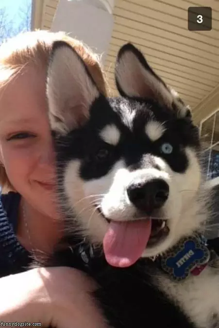 I Has A Case Of The Happy