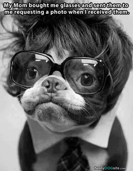 My New Glasses