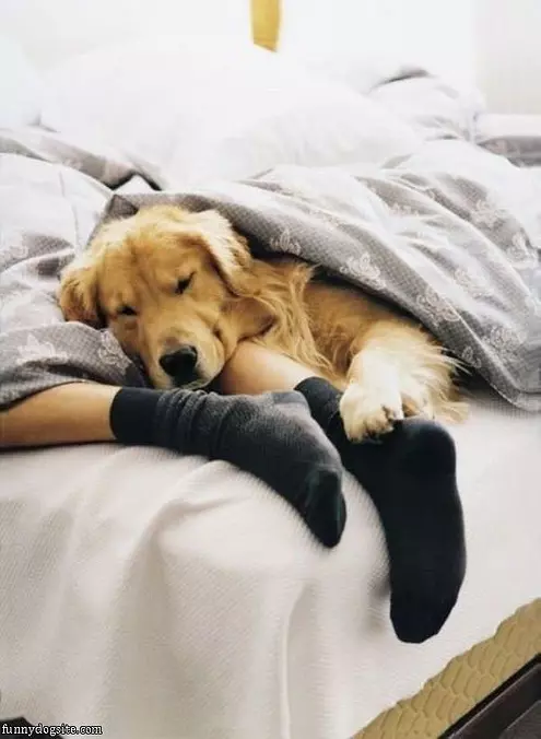 In Bed Relaxing