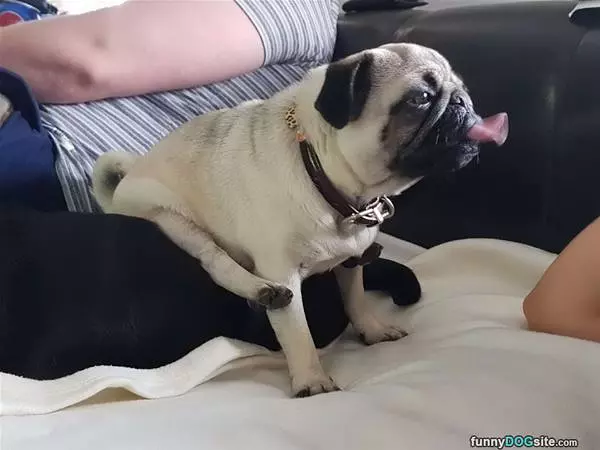 Stuck My Tongue Out
