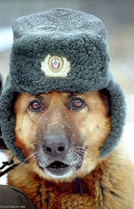 Cold Winter