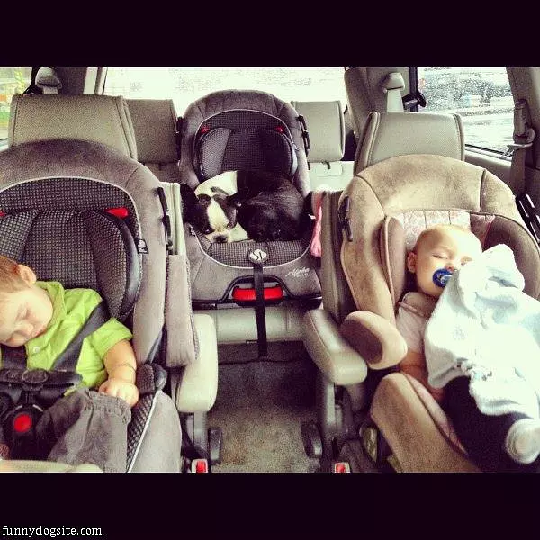 All The Babies