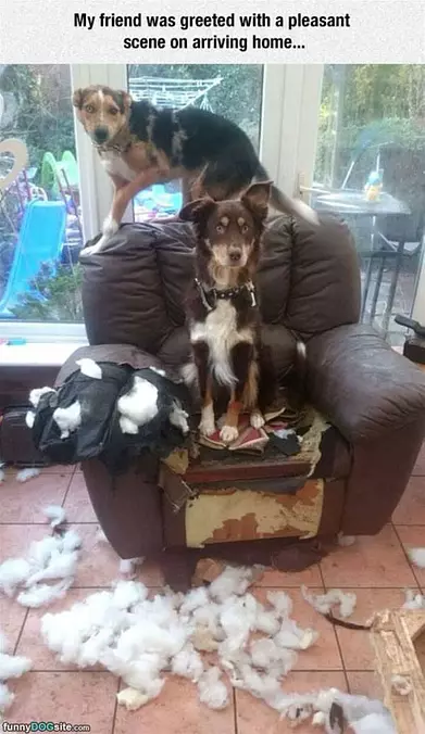 A Pleasane Surprise