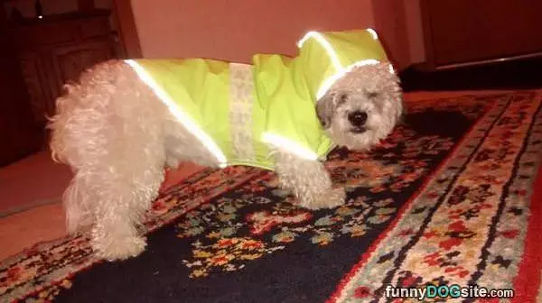 Its Raining Outside