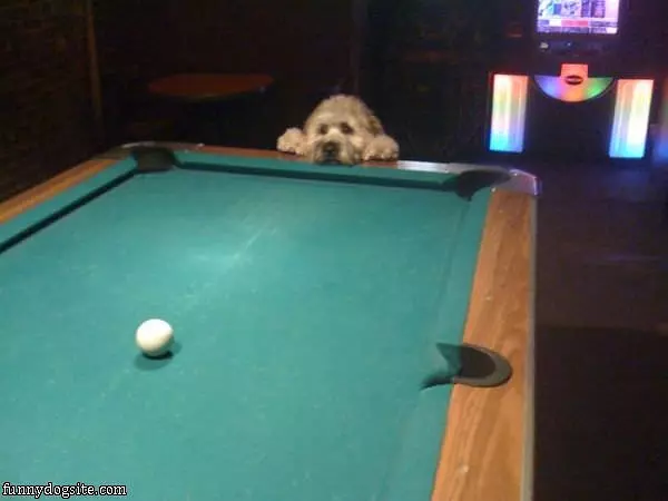 Lets Play Pool