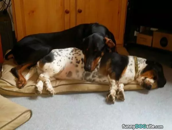 This Is Pretty Comfortable
