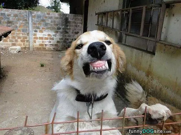 Huge Smile